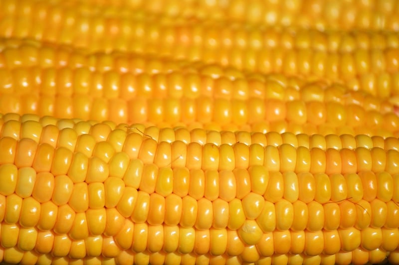 Grains and Legumes
